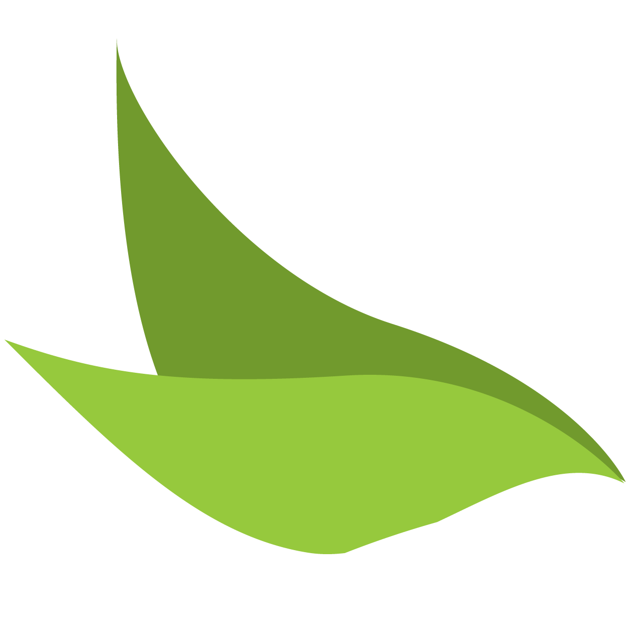 graphic icon of two overlapping green leaves